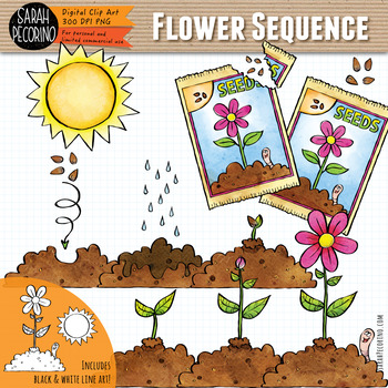 Preview of Spring Flower Sequence Clip Art