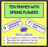 Spring Flower Ten Frame Matching Activity