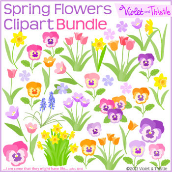 Flower Clipart Bundle Tulip Daffodil Hyacinth Pansy Clipart Tpt
