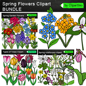Preview of Spring Flowers Clip Art Bundle /Spring clipart Commercial use