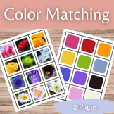 Spring Flowers Color Matching Game Montessori Style with R
