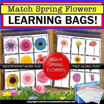Preview of Spring Flowers Matching Learning Bag for Special Education and Reading