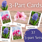 Spring Flowers Montessori 3-Part Cards for Preschool and K