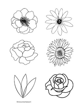 Preview of Spring Flowers - Montessori Coloring Sheet