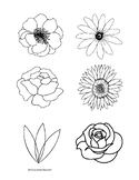 Spring Flowers - Montessori Coloring Sheet