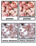 Spring Flowers Montessori Flashcards for Primary | Nomencl