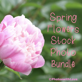 Spring Flowers Stock Photo Bundle