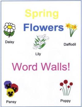Preview of Spring Flowers Word Walls