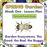 Spring Garden Ecosystem and Insects Lesson - Week 1 - Thir