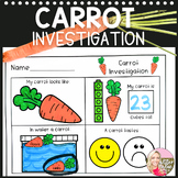 Spring/Garden/Farm/Easter-Carrot Math & Science-Preschool,