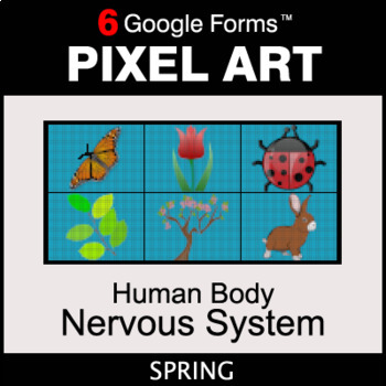 Preview of Spring: Human Body: Nervous System - Digital Science Pixel Art | Google Forms