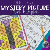 Mystery Picture Hundreds Chart 3rd Grade