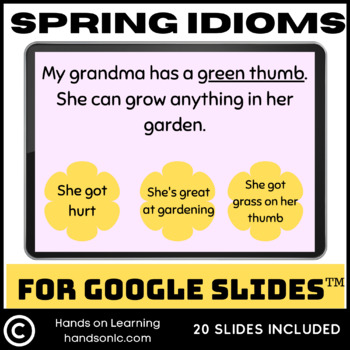 Preview of Spring Idioms for Google Slides
