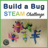 Spring Insects STEM Challenge and Informational Posters