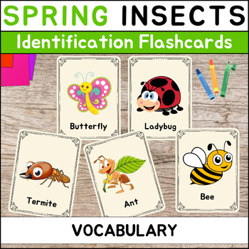 Preview of Spring Insects Vocabulary Identification Flashcards | Spring Activity 29 Diffe..