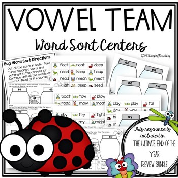 Preview of BUG - Insects Vowel Team Word Sort Work Game Center Activity End of Year