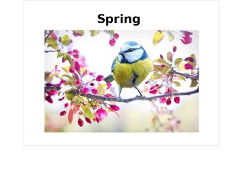 Preview of Spring Interactive Book