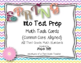 Spring Into Test Prep {All Third Grade Common Core Standards}
