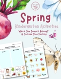 Spring Kindergarten Animal, Bug, and Garden Sorting and Wh