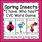 Spring/Ladybug CVC Words Game