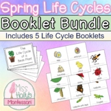 Spring Life Cycle Booklets BUNDLE - 5 Student-Made Booklets