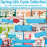 Spring Life Cycle Bundle: 9 Different Plants and Animals