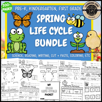 Preview of Spring Life Cycle Butterfly Chicken Frog Bee Plants PreK Kindergarten First TK