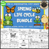 Spring Life Cycle Butterfly Chicken Frog Bee Plants PreK K