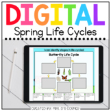 Spring Life Cycles Digital Activity | Distance Learning