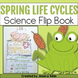 Butterfly, Frog, Chicken Life Cycle, Animal Life Cycles Sp
