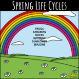 Spring Life Cycles- Interactive