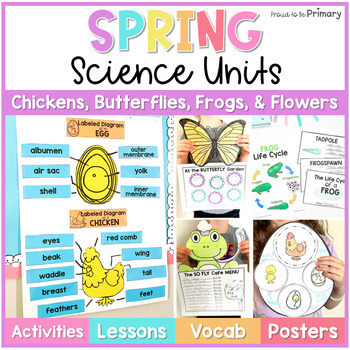 Preview of Butterfly, Chicken, Frog, Flower Life Cycle Crafts & Spring Science Activities