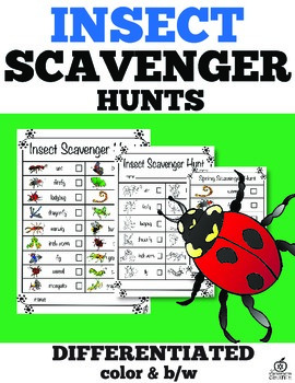 Insect Literacy Center Spring Scavenger Hunt (Differentiated) | TpT