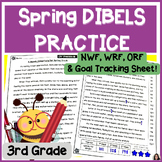 Spring MCLASS DIBELS 8 Practice 3rd Grade | NWF, WRF, ORF 