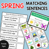 Spring Matching Sentences to Pictures: Activities, Compreh