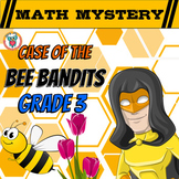 3rd Grade Spring Activity: Spring Math Mystery - Division 