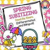 Spring Math Center - Subitizing