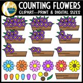 Spring Math Counting Flowers Clipart by K Cups in my Classroom