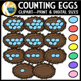 Spring Math Eggs in a Nest Counting Clipart by K Cups in m