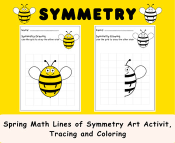 Preview of Spring Math Lines of Symmetry Art Activit, Fun Math Symmetry