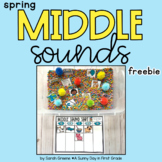 Spring Middle Sound Sort Freebie