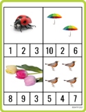 Spring Montessori Counting Cards Lesson Plan and Printable