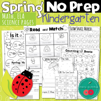 Spring Activities for Kindergarten by Cherry Workshop | TpT