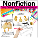 Spring Nonfiction Reading Comprehension Passages and Close