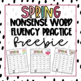 Spring Nonsense Word Fluency Practice Activities Freebie