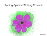 Spring Opinion Writing