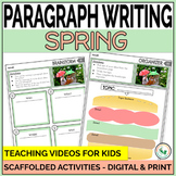 Spring Paragraph Writing Worksheet Practice Hamburger Para