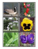 Spring Photo Cards for Literacy and Science Centers - Seas