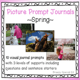 Spring Picture Journal Prompts - differentiated for special ed