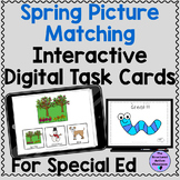 Spring Picture Matching Digital Task Cards Special Educati